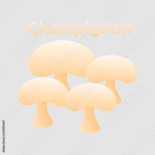 Mushroom Champignon icon