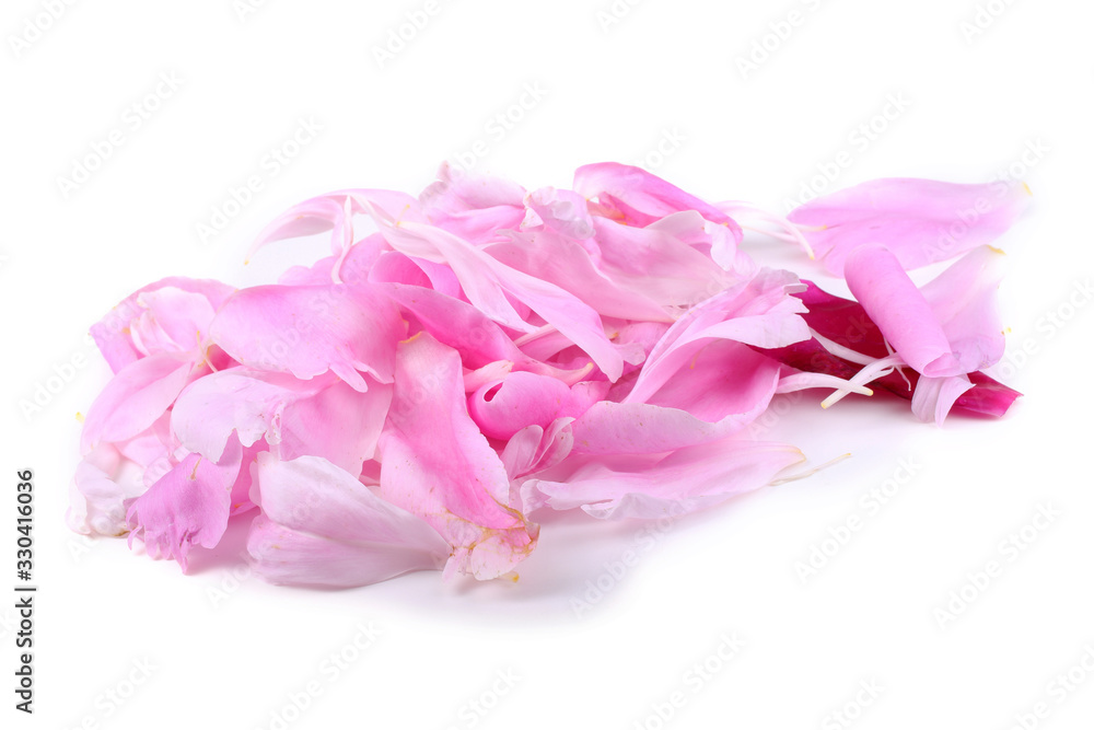 Pink peony petals