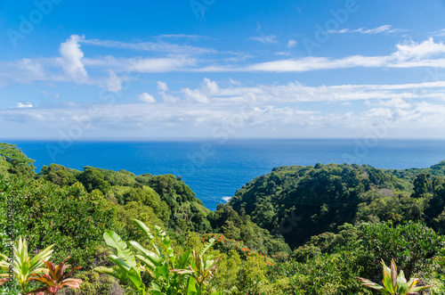 Beautiful view of pacific ocean across Road to Hana in Maui Hawaii USA © ujjwal