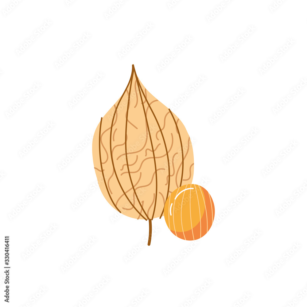tamarind exotic fruit flat style tamarind exotic fruit flat style
