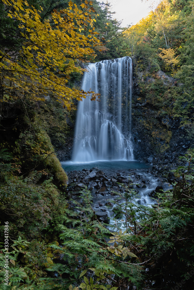Fototapeta premium 乗鞍の秋