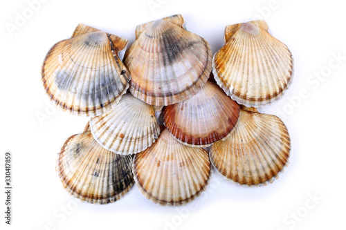 Scallops