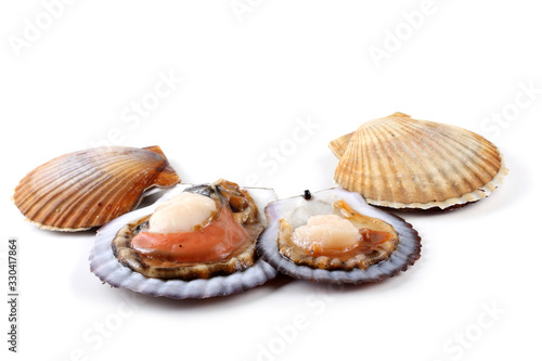 Opened and closed scallops