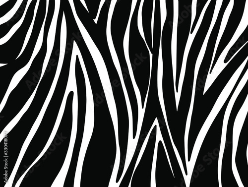 zebra seamless pattern