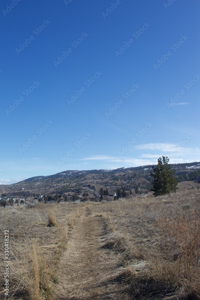 Grasslands in British Columbia, Canada