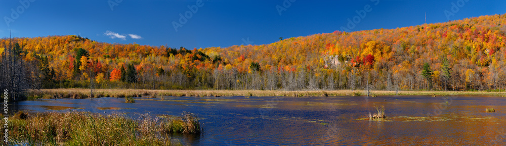Obraz premium Panorama of a Gatineau Park lake in the Fall with colorful leaves at the back of Camp Fortune