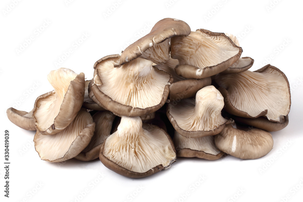 Oyster mushrooms Oyster mushrooms