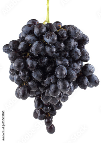 Black growing grape