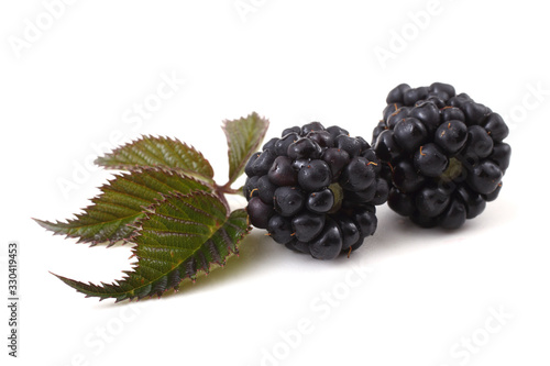 Blackberries and leaf