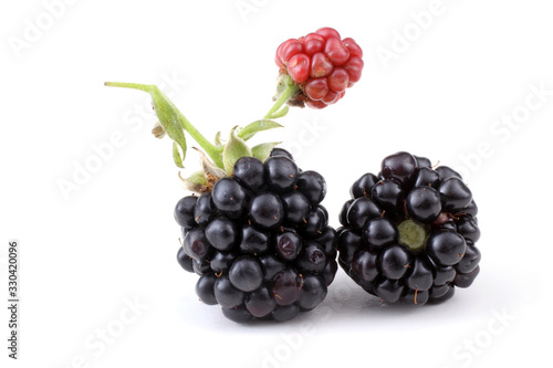 Blackberries