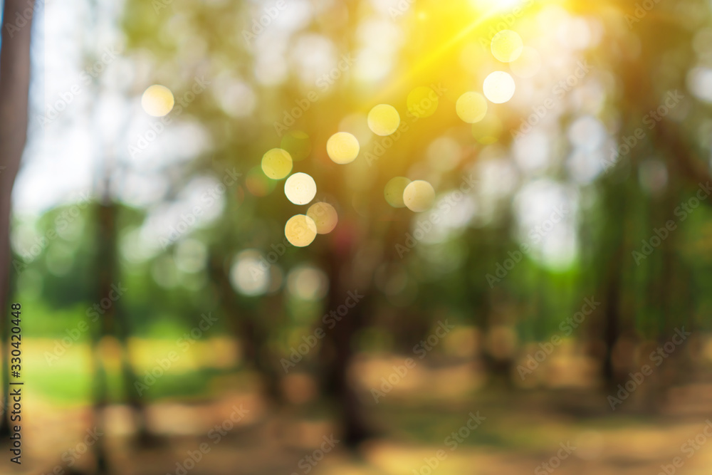Blur nature bokeh green park by beach and tropical coconut trees Blur nature bokeh green park by beach and tropical coconut trees