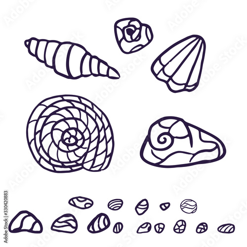 Vector set of sea elements from shells for design in doodle style hand-drawn isolated on white background.