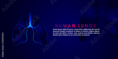 Human Lungs Art Vector Illustration. Medicine Design Background