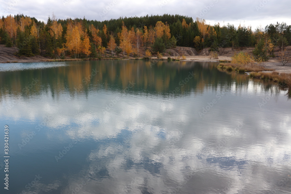 reflection of trees in lake