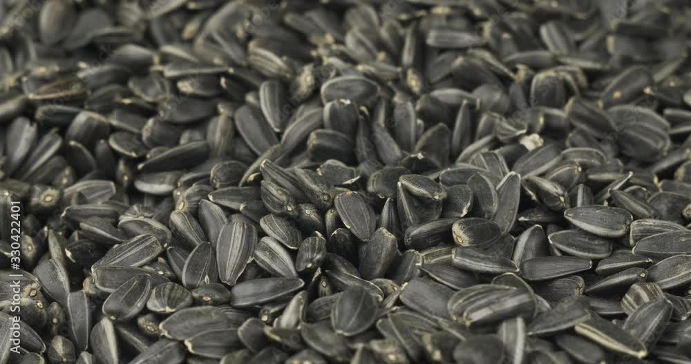 Close-up, wavy background of sunflower seeds. Copy space. Close-up, wavy background of sunflower seeds. Copy space.