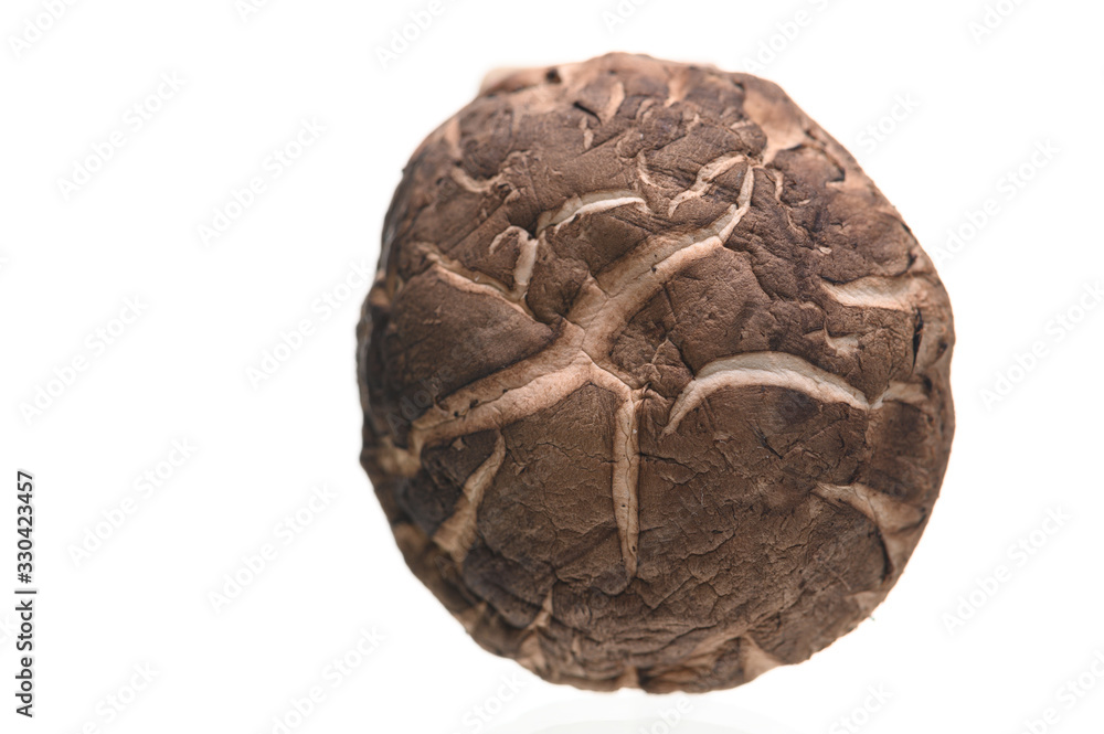 Shiitake mushrooms isolated on the white background. Shiitake mushrooms isolated on the white background.