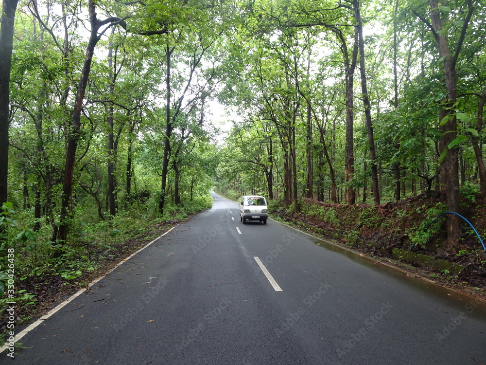 Obraz premium road in the forest