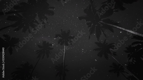 Night starry sky over palm trees. 4k time lapse