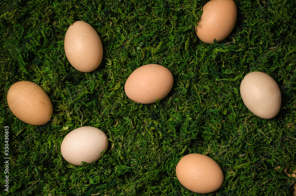 Easter eggs on fresh green moss, background Easter eggs on fresh green moss, background