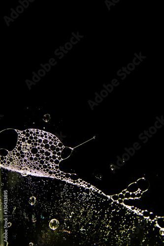 Bubbles abstract on black background © taffpixture