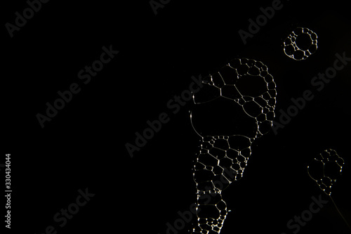 Fototapeta Naklejka Na Ścianę i Meble -  Bubbles abstract on black background
