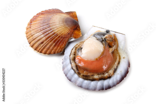 Scallop and opened scallop