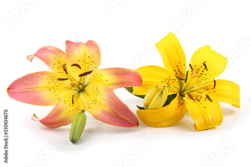 Pink and yellow lilies