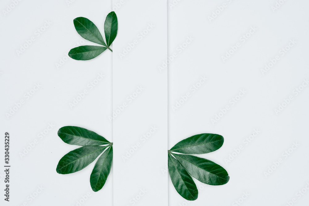 Fototapeta premium Creative layout made of papers and leaves Flat lay. Minimal nature concept.