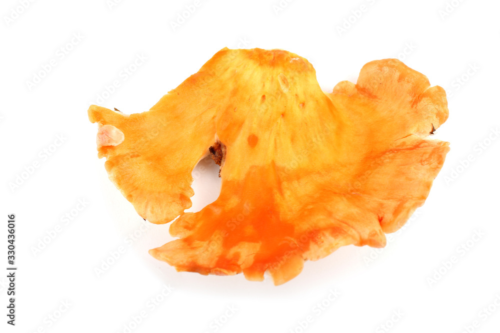 Fototapeta premium Chicken mushrooms