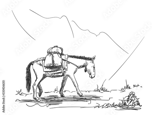 Mule walking in mountains with load on his back, This type of cargo transport widely used in himalayas, Vector sketch, Hand drawn illustration