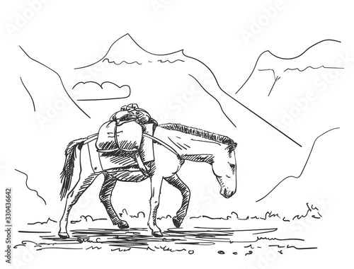 Mule walking in mountains with load on his back, This type of cargo transport widely used in himalayas, Vector sketch, Hand drawn illustration