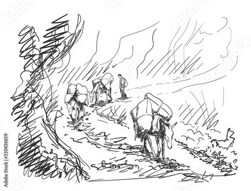 Mule caravan carrying load in mountains, This type of cargo transport widely used in himalayas, Vector sketch, Hand drawn illustration