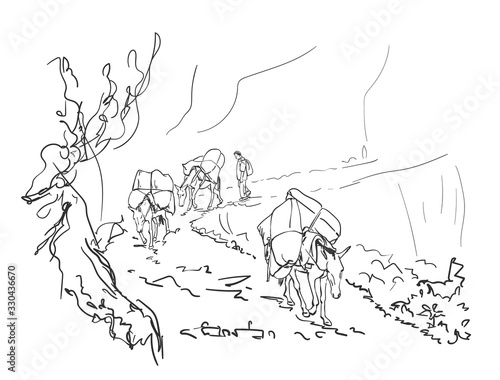 Mule caravan carrying load in mountains, This type of cargo transport widely used in himalayas, Vector sketch, Hand drawn linear illustration