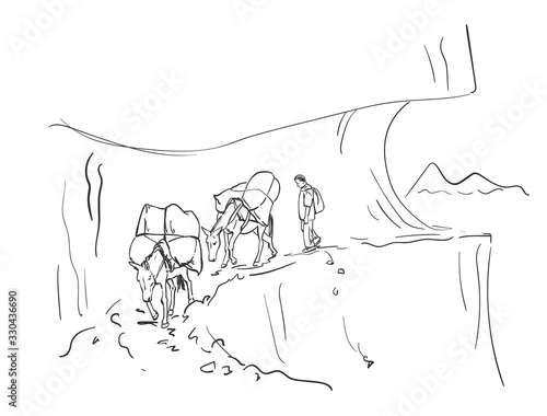 Two loaded mules and herder walking on dangerous path in mountains, This type of cargo transport widely used in himalayas, Vector sketch, Hand drawn linear illustration