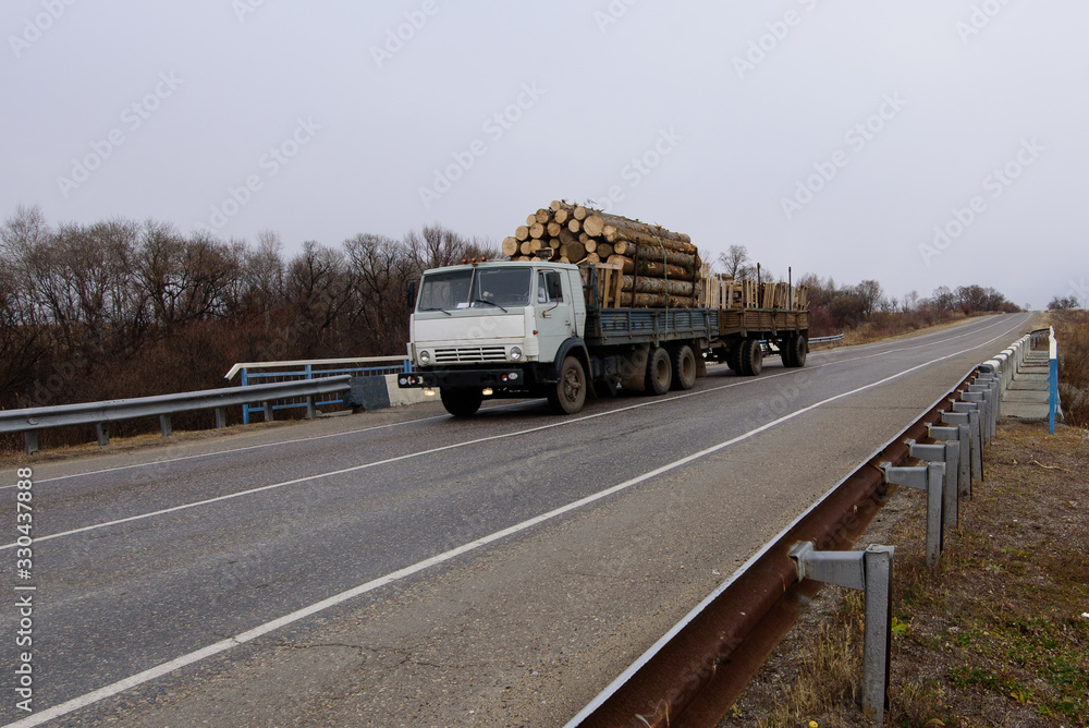 Large truck transporting wood on the road.