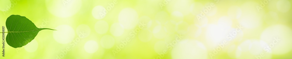 Obraz premium Nature of green leaf in garden at summer. Natural green leaves plants using as spring background cover page greenery environment ecology wallpaper