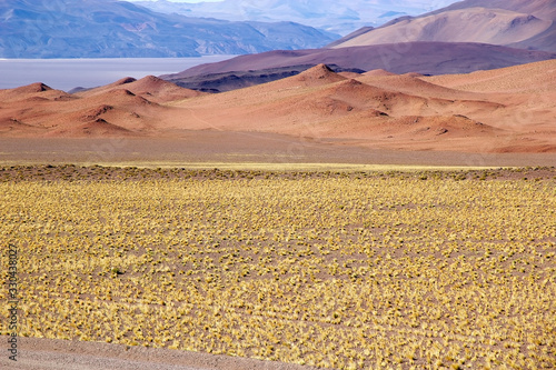 Landscape along the road to Salar of Arizaro at the Puna de Atacama  Argentina