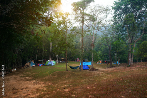 camping tent with hammock on nature lawn with tree in green forest for summer holiday relax or family vacation travel with trekking picnic on meadow grass campsite and warm sunlight in national park