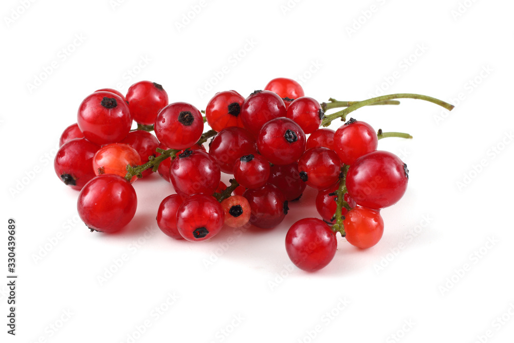 Red currant Red currant