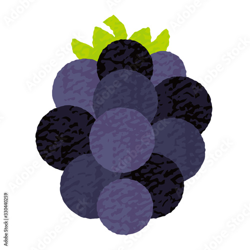 手描き風かわいいブラックベリー-Blackberry vector art