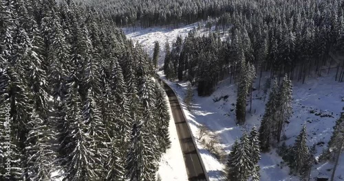 Wallpaper Mural Strada con pini ad altopiano di Asiago italia veneto Torontodigital.ca