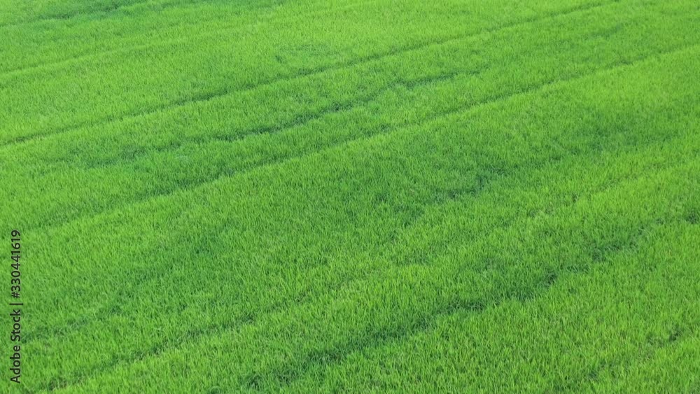 field background, top view landscape, nature field background, top view landscape, nature