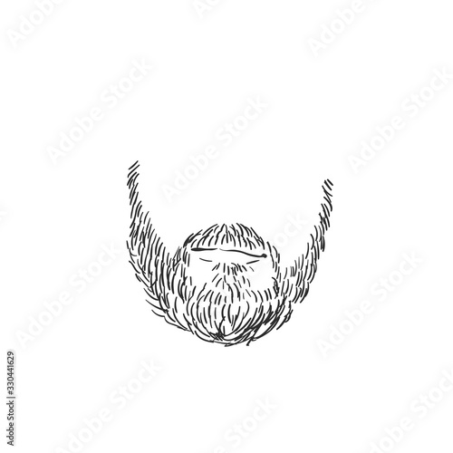 Isolated beard with mustaches and lips, Hand drawn vector sketch