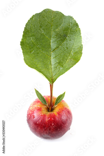 Little apple with leaf