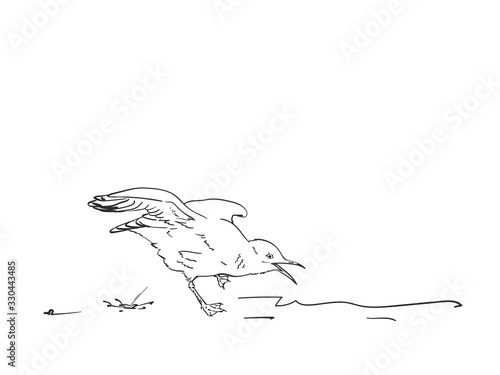 Sketch of seagull doing poop, Vector hand drawn illustration