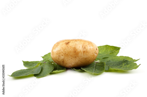Cream color potato on leaves