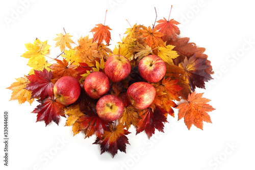 Gala apples on autumn leaves