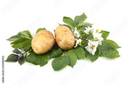 Cream color potatoes and flowers on leaves