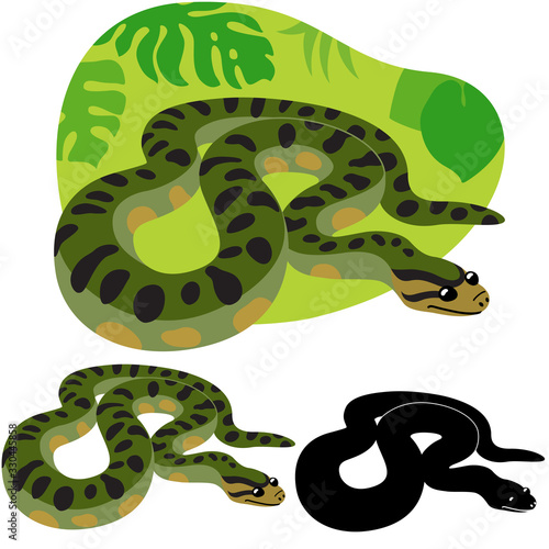 Anaconda snake from south america on the background of green tropical leaves