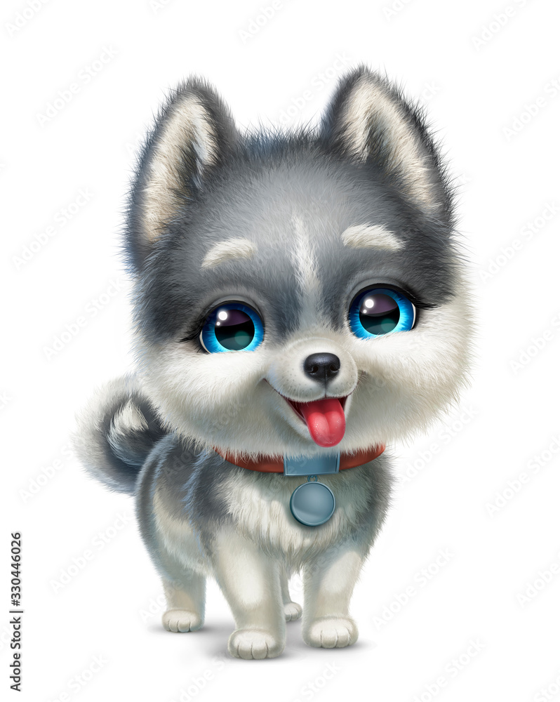 Fototapeta premium husky puppy isolated on white